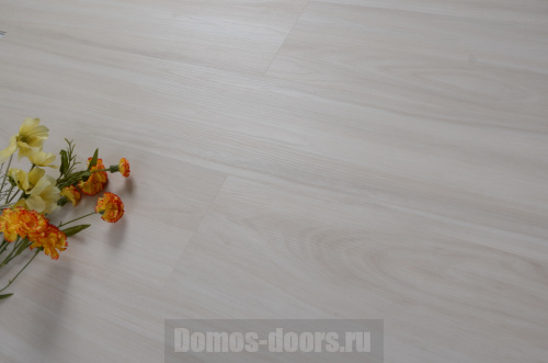 SPC ламинат Evofloor Optima Click - Дуб Арктический