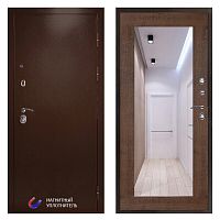 Termo door Входная дверь Техно медь Зеркало триумф дуб