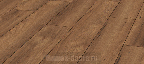 Aqua Robusto P1212 Хикори Классический фото 4