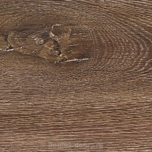 Floorwood Benelux 021 Дуб Антверпен фото 2