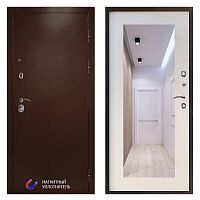 Termo door Входная дверь Техно медь Зеркало триумф лиственница