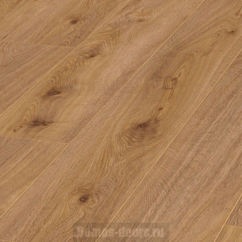 Kronotex Amazone D 4169 Дуб престиж светлый фото 2