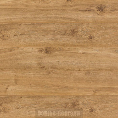 Classen Extreme 4v 1233 Дуб Гуанаре 38458 Classen Extreme 4v 1233 Дуб Гуанаре 38458
