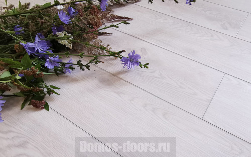 Ламинат Stone Floor SPC Дуб Серебристый Ламинат Stone Floor SPC Дуб Серебристый