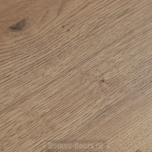 Ламинат Woodstyle Bravo Дуб Твисто фото 3