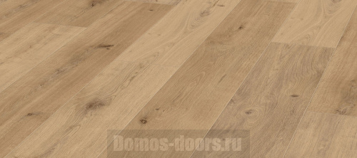 Aqua Robusto P1210 Дуб Чистый фото 2 Aqua Robusto P1210 Дуб Чистый фото 2
