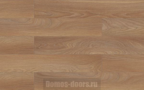 Classen Natural Prestige 26384 Louisiana