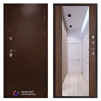 Termo door Входная дверь Техно медь Зеркало дуб