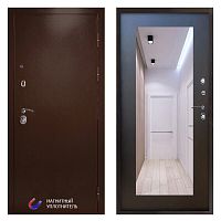 Termo door Входная дверь Техно медь Зеркало триумф венге