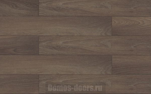 Classen Natural Prestige 26385 Bordeaux