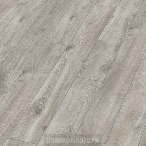 Kronotex Mammut D 4797 Дуб горный серебристый