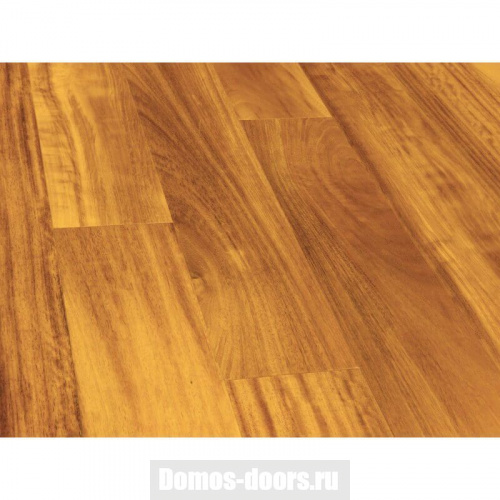 Wood Bee Classiс 129 Ироко однополосная