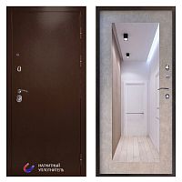 Termo door Входная дверь Техно медь Зеркало триумф бетон светлый