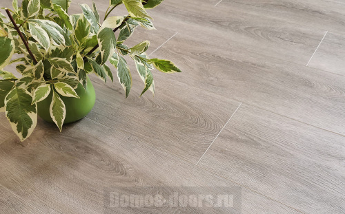 Ламинат Stone Floor SPC Дуб Шведский Ламинат Stone Floor SPC Дуб Шведский